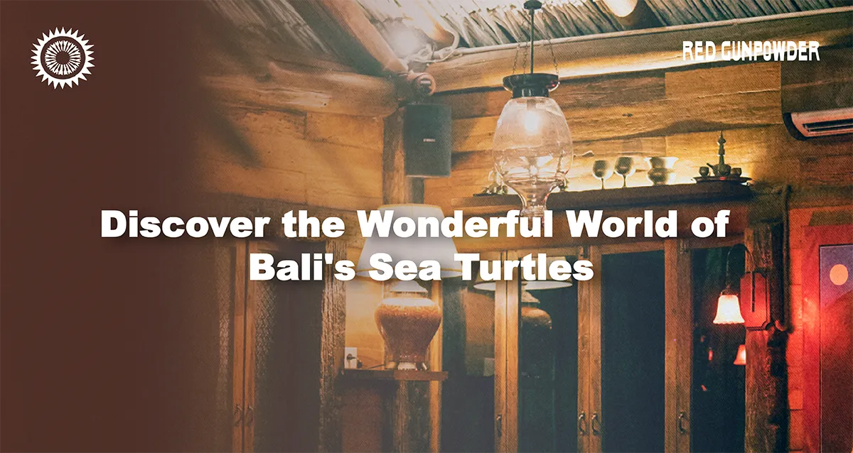 Discover-the-Wonderful-World-of-Bali-Sea-Turtles
