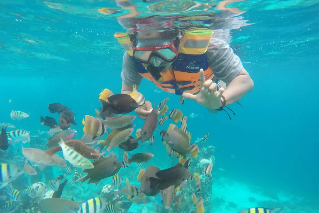 snorkelling-bali