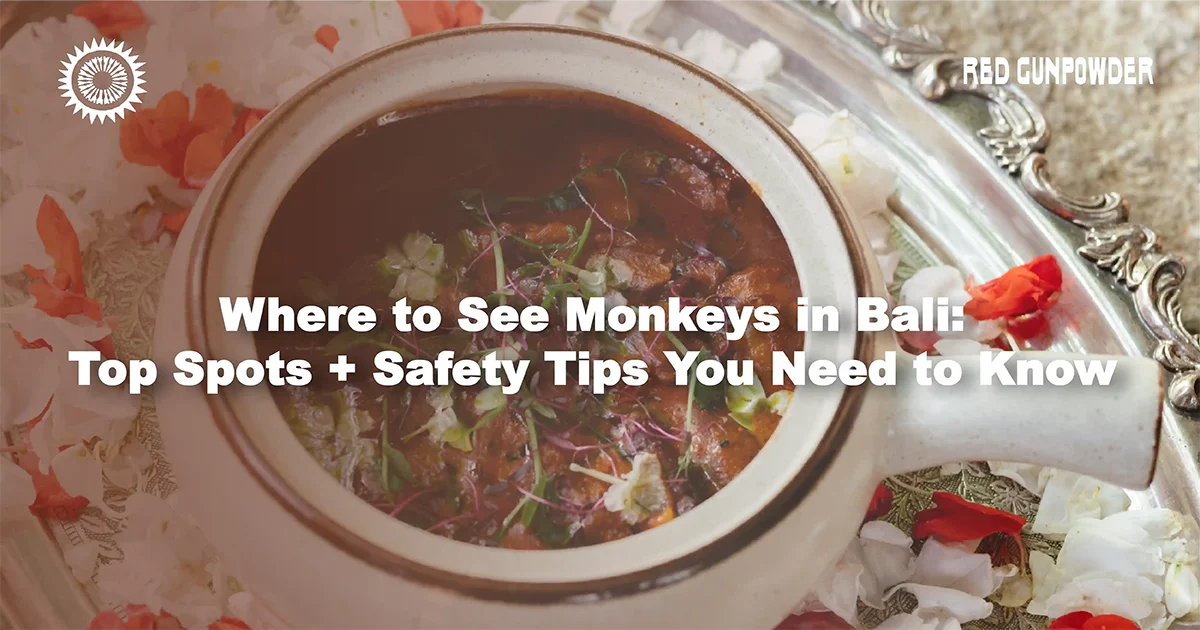 Where-to-See-Monkeys-in-Bali