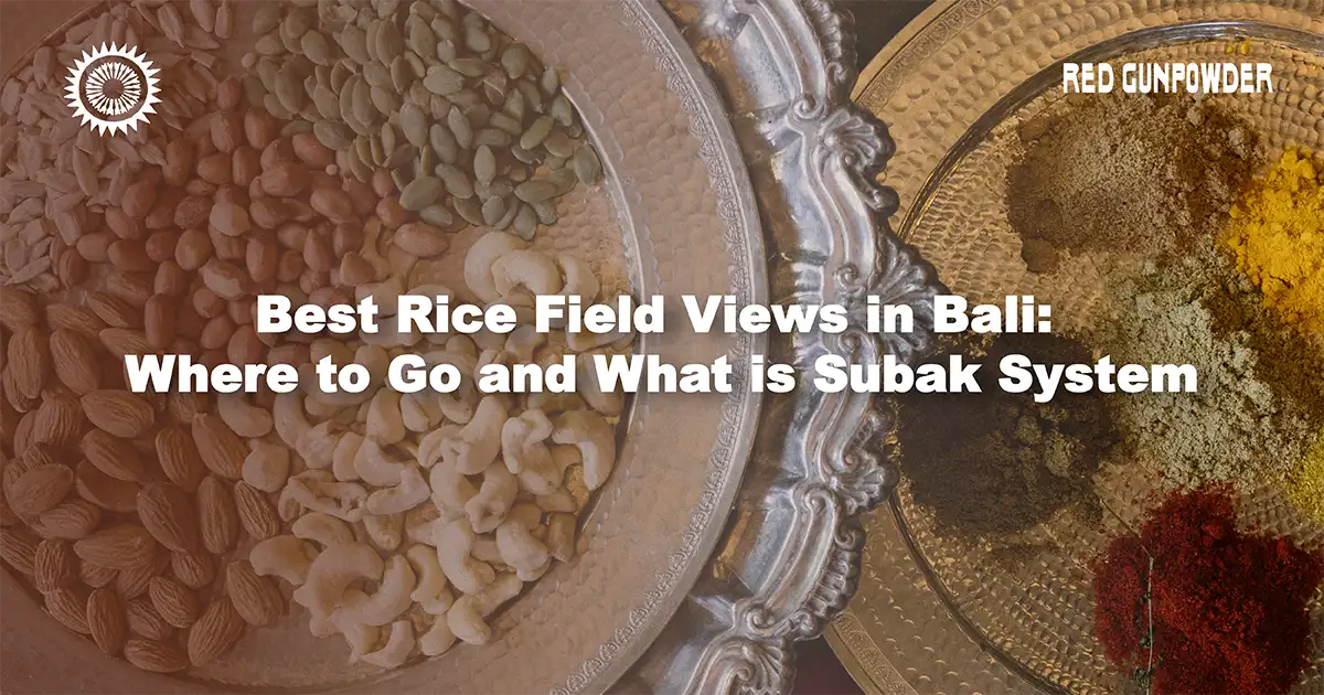 Best_Rice_Field_Views_in_Bali
